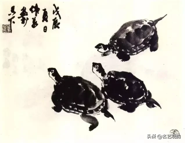 如何画乌龟（小学生怎么画乌龟）-12