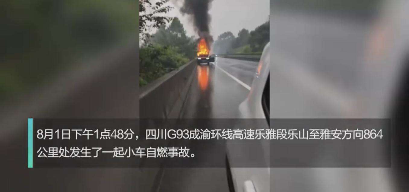 新能源车理想one四川乐雅高速起火烧成光架，有乘客被烧伤送医